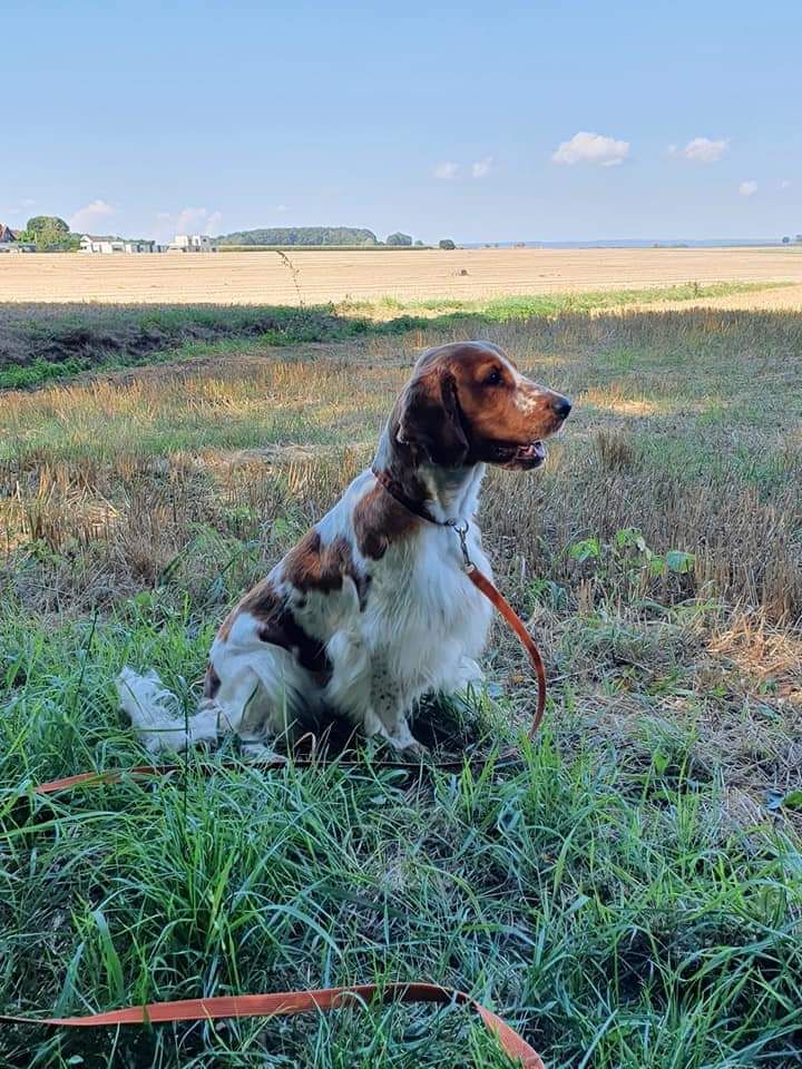 CH. Roxane des Hauts de L'Espinouse