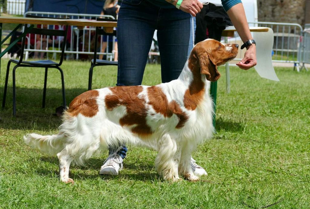 CH. Roxane des Hauts de L'Espinouse